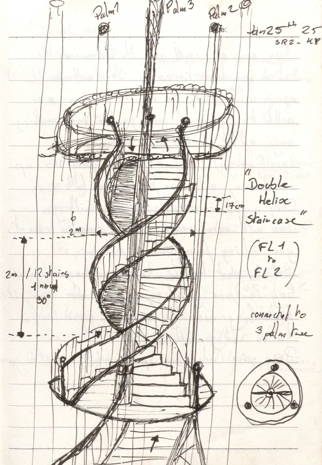 The double helix